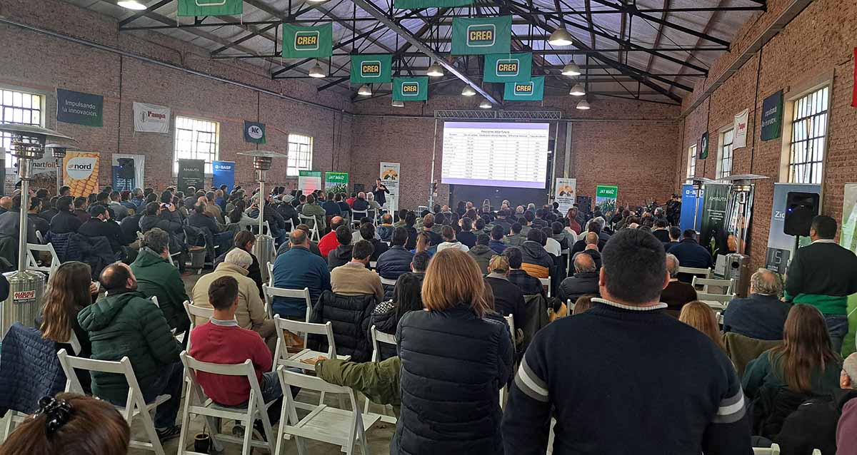 Maíz ante un año niña y la chicharrita, todo lo que se dijo en la JAT de Crea